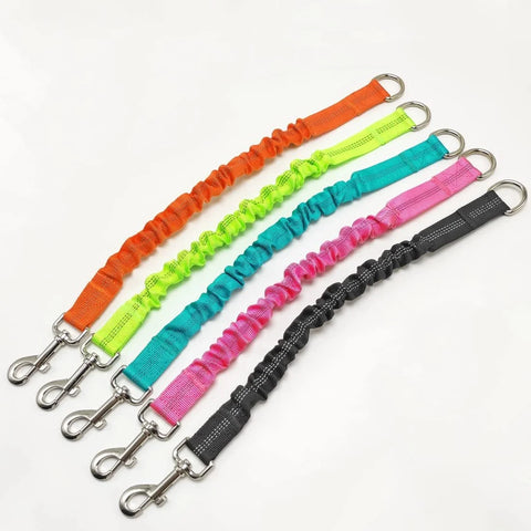 Shock Absorber Dog Leash – Heavy-Duty Elastic Bungee Training Lead for Medium Dogs