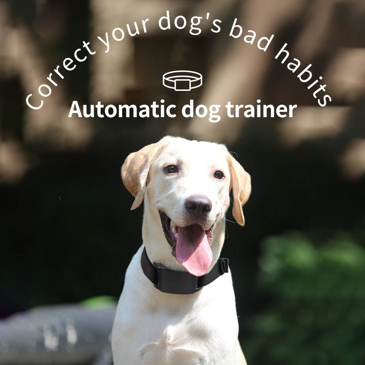 Automatic Anti-Bark Dog Training Collar – USB Rechargeable with Sound & Shock Modes