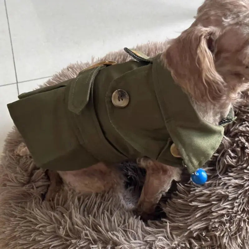 British Style Winter Trench Coat for Small Puppies | Thick Warm Dog Jacket & Hoodie