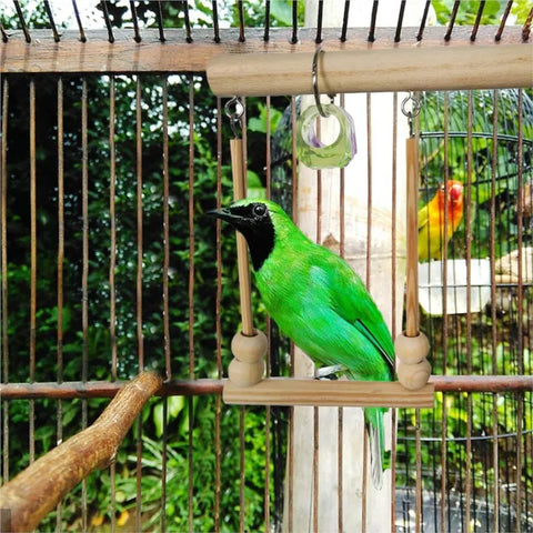 Bird Swing Toy | Wooden Parrot Perch Stand with Chewing Beads for Budgie Birds