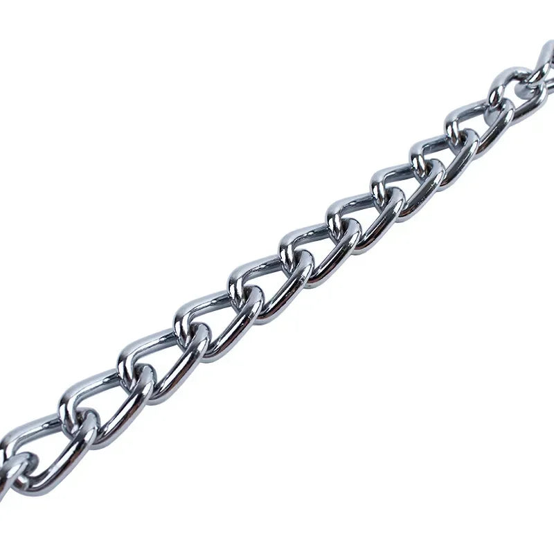 Adjustable Chrome Stainless Steel Dog Collar – No Choke Traction Rope Lead