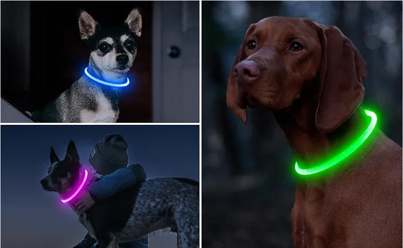 USB Rechargeable LED Luminous Dog Collar – Safety Glowing Night Collar with 3 Light Modes