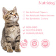 Skin & Coat Cat Chews | Omega 3, Vitamin E, Biotin Supplements | Healthy Skin & Glossy Coat | Anti-Shedding Support | Salmon Flavor