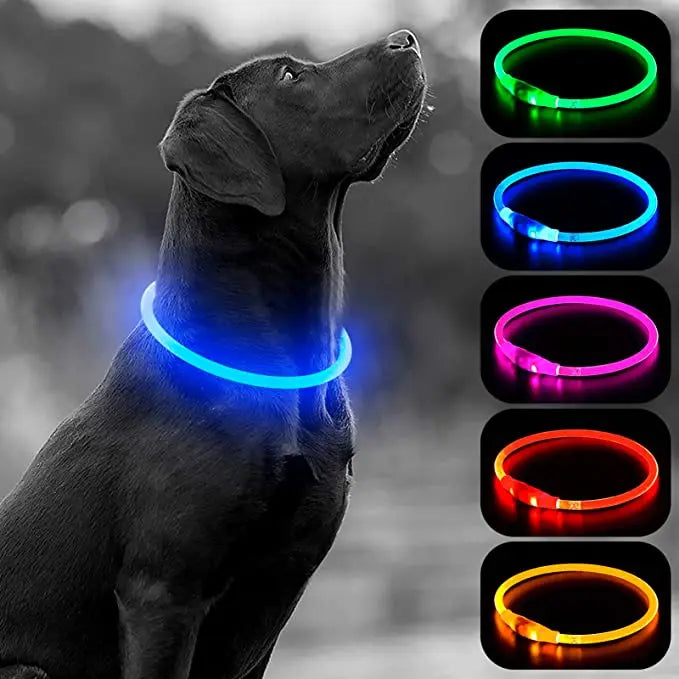 LED Luminous Dog Collar USB Charging Flashing Glowing Safety Anti-Lost Collar for Cats and Dogs          Ask ChatGPT