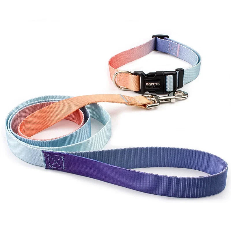 Adjustable Dog Collar & Leash Set – Personalized Nylon Traction Lead for Small to Large Dogs