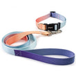 Adjustable Dog Collar & Leash Set – Personalized Nylon Traction Lead for Small to Large Dogs