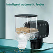 Automatic Intelligent Fish Feeder with LCD Display – Digital Programmable Aquarium Fish Food Dispenser