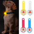 LED Glowing Dog Collar – USB Rechargeable Safety Light Collar
