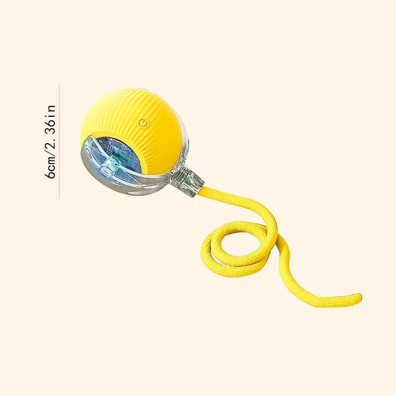 Smart Electronic Dog Toy Ball | USB Automatic Moving & Bouncing Pet Toy | Interactive Puppy Gift | Cat/Dog Products
