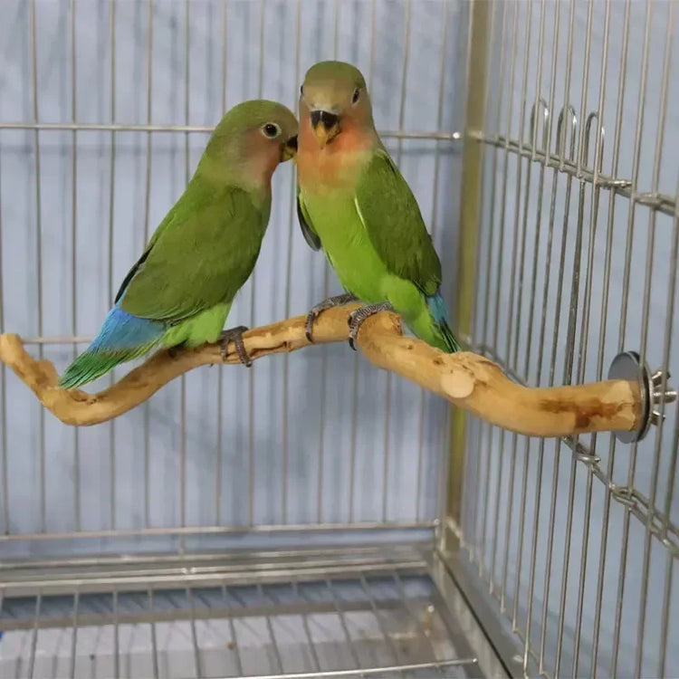Natural Parrot Perch | Bird Stand Tree Stick | Paw Grinding Fork | Parakeet Climbing Branch | Bird Toys Cage Accessories