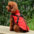 Dog Coat with Harness Winter Fleece Zipper Jacket Small Dog Clothes Winter Cat Apparel Lightweight for Indoor Outdoor Pet Gifts