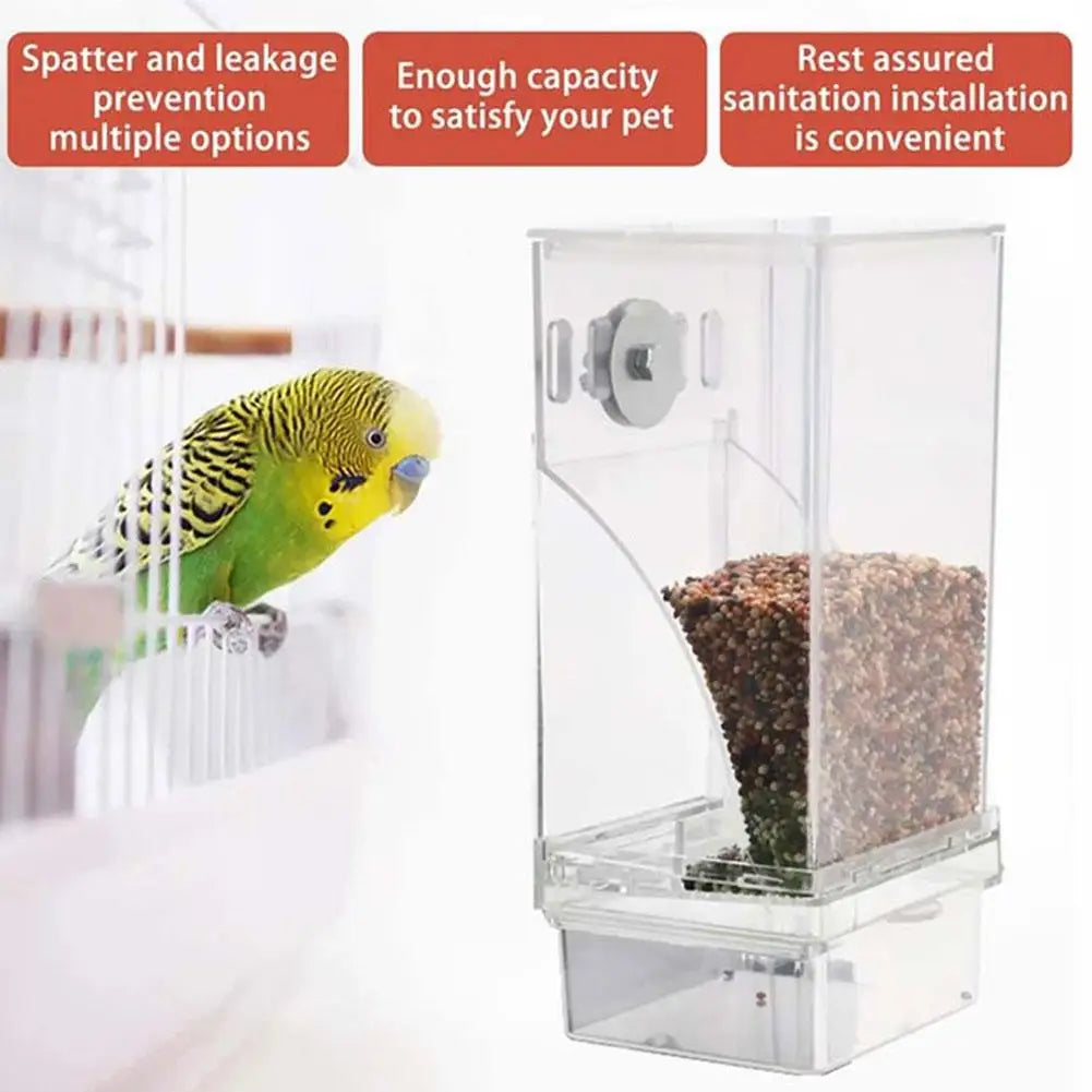 Automatic No-Spill Transparent Bird Feeder | Can Be Hung or Placed on Desktop | Ideal for Small & Medium Parakeets