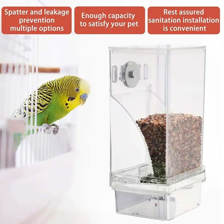 Automatic No-Spill Transparent Bird Feeder | Can Be Hung or Placed on Desktop | Ideal for Small & Medium Parakeets