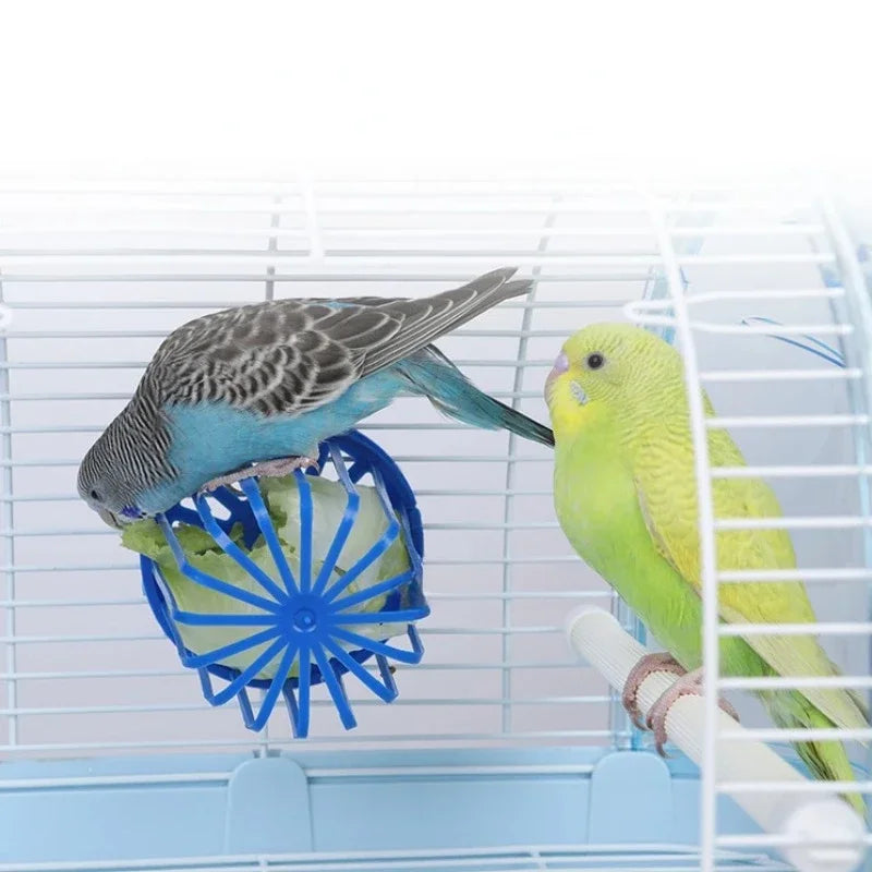 Bird Cage Feeder – Hanging Fruit & Vegetable Basket for Parrots & Small Birds | Clip-On Plastic Cage Rack for Feeding