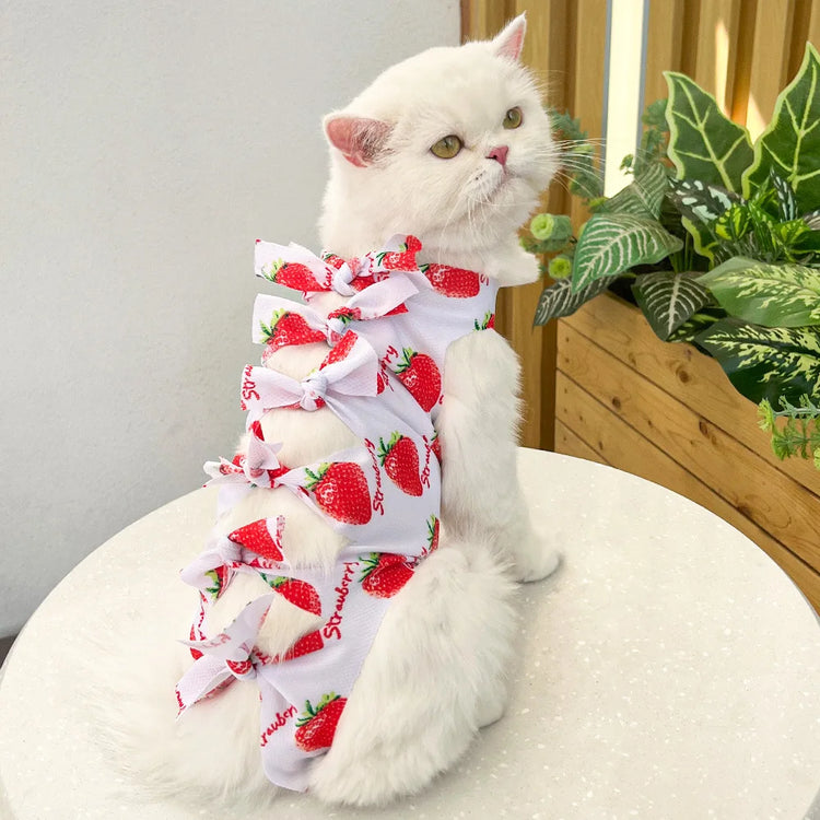 Cat Surgery Recovery Suit | Post-Op Onesie for Cats | E-Collar Alternative for Wound Protection