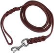Braided Leather Dog Collar and Leash Set – Durable Genuine Cowhide for Medium & Large Dogs