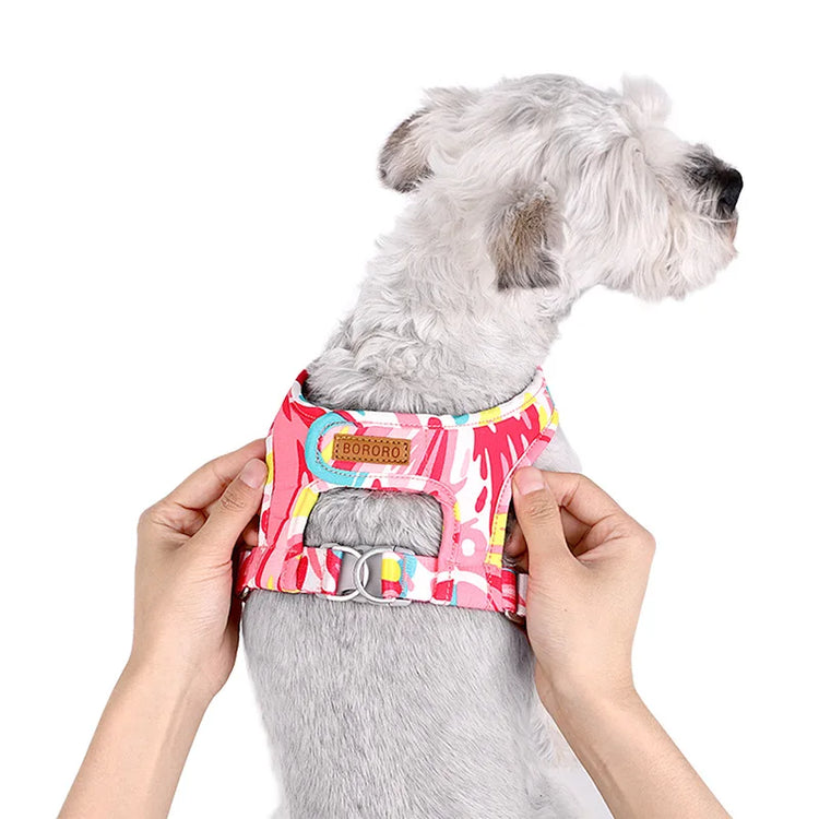 New Dog Cat Harness | Adjustable Vest Walking Lead Leash | Puppy Dogs Collar | Polyester Mesh Harness | Small Medium Dog Cat Pet