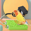 Bird Cage Heated Perch Platform – Snuggle-Up Parrot Warmer with Anti-Bite Cord | Automatic Bird Heater for Budgies & Small Cage Birds
