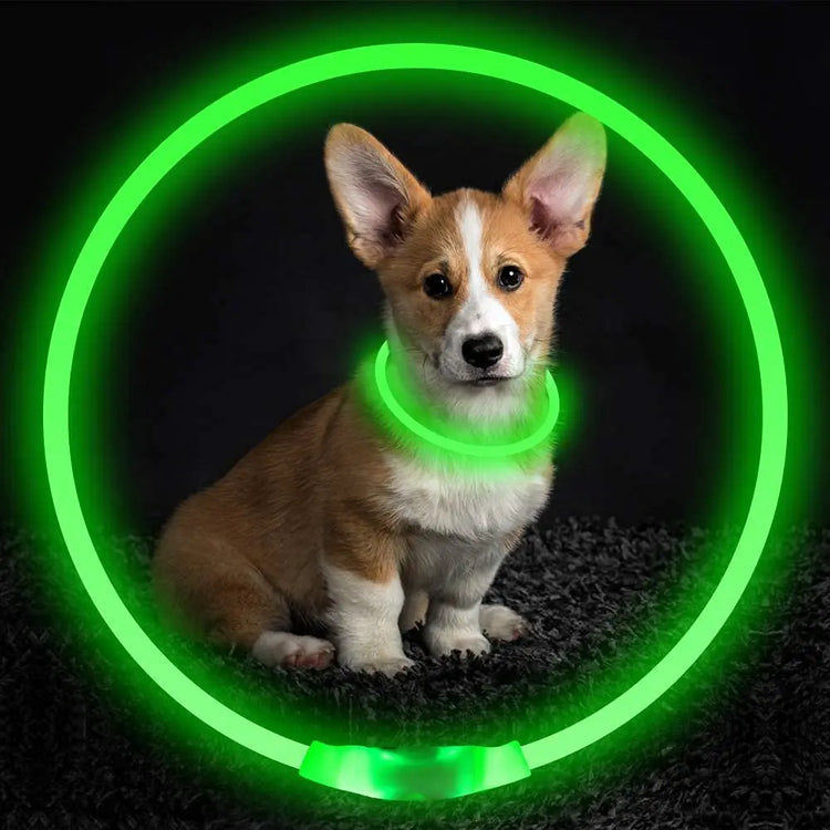LED Luminous Dog Collar Light Rechargeable Flashing Safety Collar for Nighttime Walking