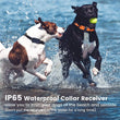 Waterproof Electric Dog Training Collar with Remote – Rechargeable Anti-Bark Device for All Dog Sizes