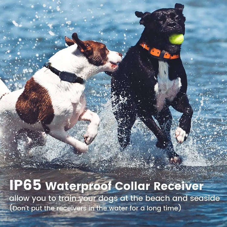 Waterproof Electric Dog Training Collar with Remote – Rechargeable Anti-Bark Device for All Dog Sizes