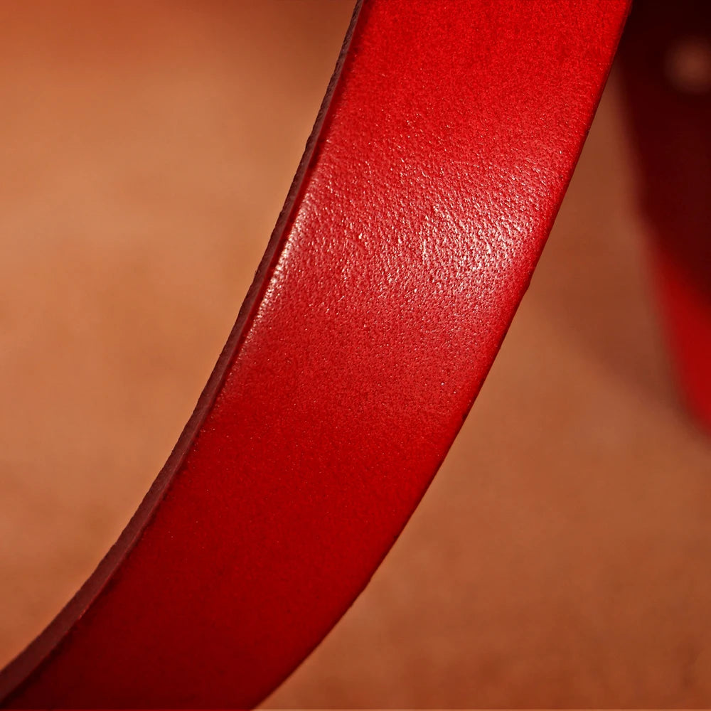 Genuine leather dog collar and leash set – durable and comfortable for small to medium dogs