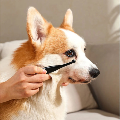 Anti-Static Pet Tear Brush | Cat Grooming Tool | Eye Protection Brown Hair Remover | Dogs/Cats Care Supplies