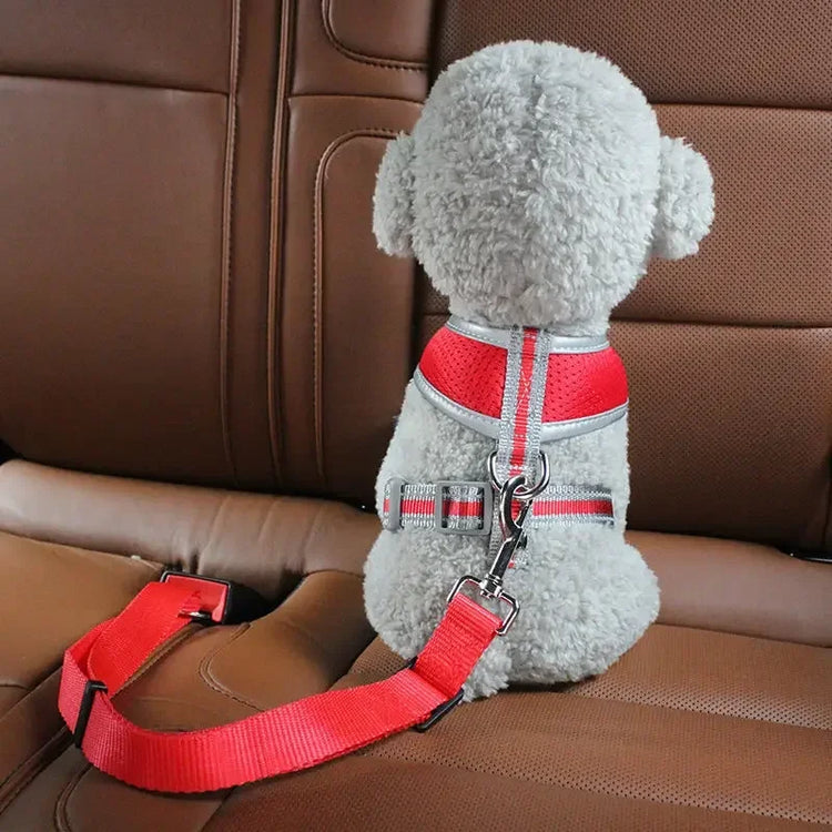 Adjustable Dog Car Seat Belt Harness – Safety Strap for Small Dogs and Cats