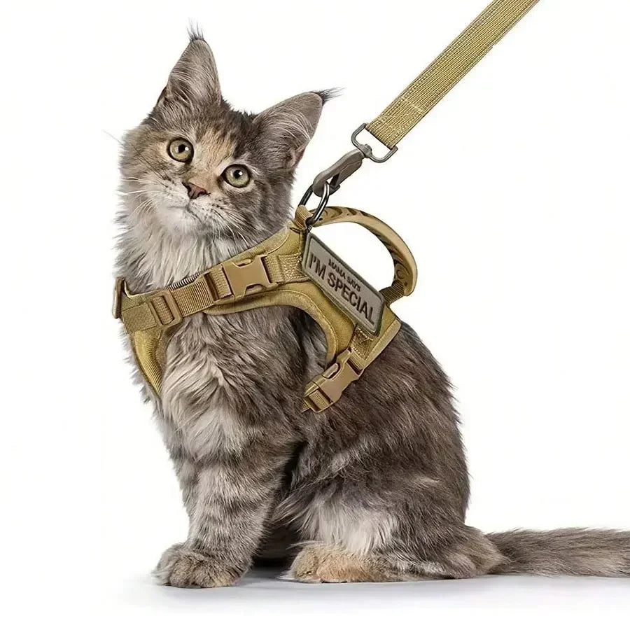 Outdoor Cat Vest | Waterproof Cat Clothes | Adjustable Cat Chest Strap | Special Walking Vest for Cats | Secure Outdoor Pet Harness