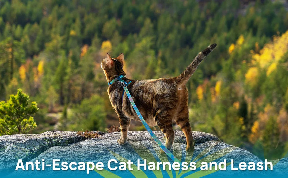 Cat Carrier – Lightweight & Escape-Proof | Adjustable Soft Harness & Leash Set for Walking & Travel | Secure & Breathable Kitten Harness