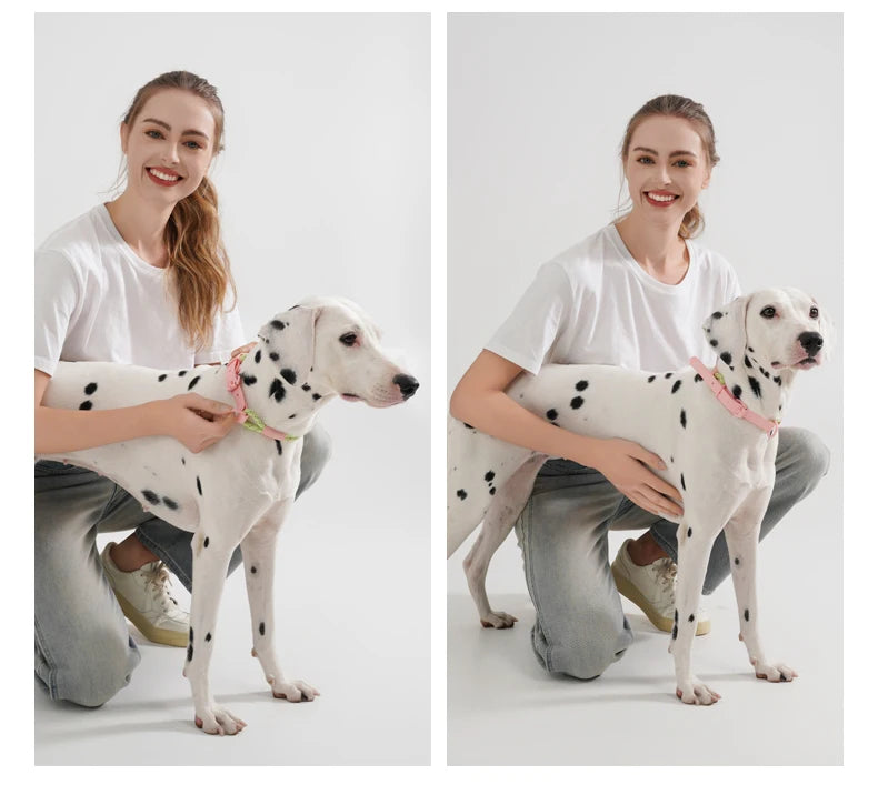 Cute Candy Style Nylon Dog Collar – Waterproof, Reflective, and Customizable