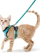 Cat Harness and Leash for Walking | Escape Proof | Soft Adjustable Vest Harnesses for Cats | EasyControl
