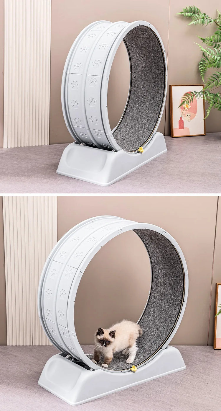Pet Treadmill – Cat Exercise Wheel for Indoor Parkour | Easy-to-Assemble Cat Roller Toy | Durable Solid Color Cat Treadmill
