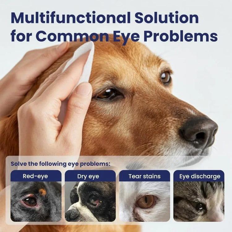 Cat Ear Wipes | Pet Ear & Eye Cleaning Finger Wipes | Remove Wax & Odor | 50 Wipes for Dogs/Cats