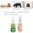 Pet Potty Training Aid Spray – 30ml Trainer for Dogs and Puppies