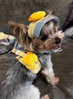 Comfort Cotton Harness & Leash Set – For Small Dogs, Cats & Bunnies