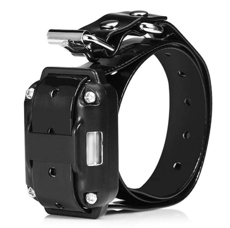 Electronic Dog Training Collar (Without Remote Control)