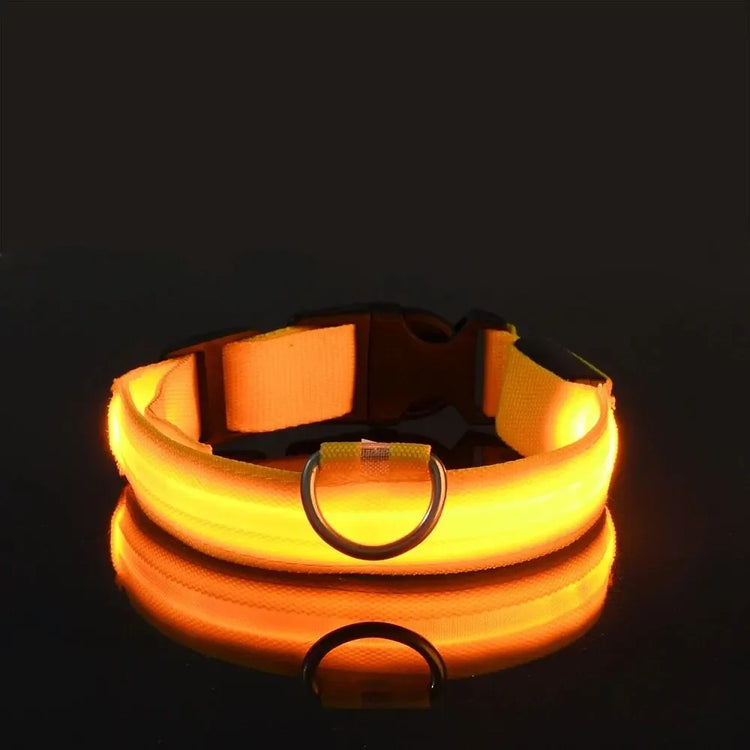 LED Light-Up Dog Collar – High Visibility Safety Collar for Night Walks (Battery Powered)