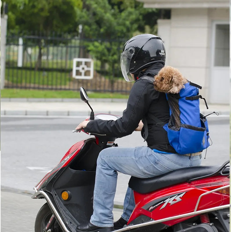 Breathable Outdoor Pet Carrier Backpack – Hiking & Travel Mesh Backpack for Dogs