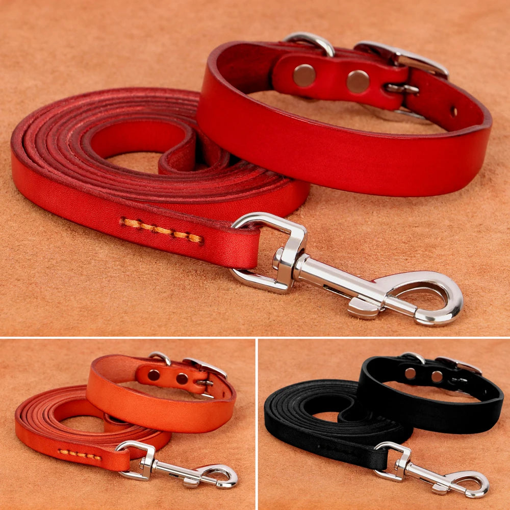 Genuine leather dog collar and leash set – durable and comfortable for small to medium dogs