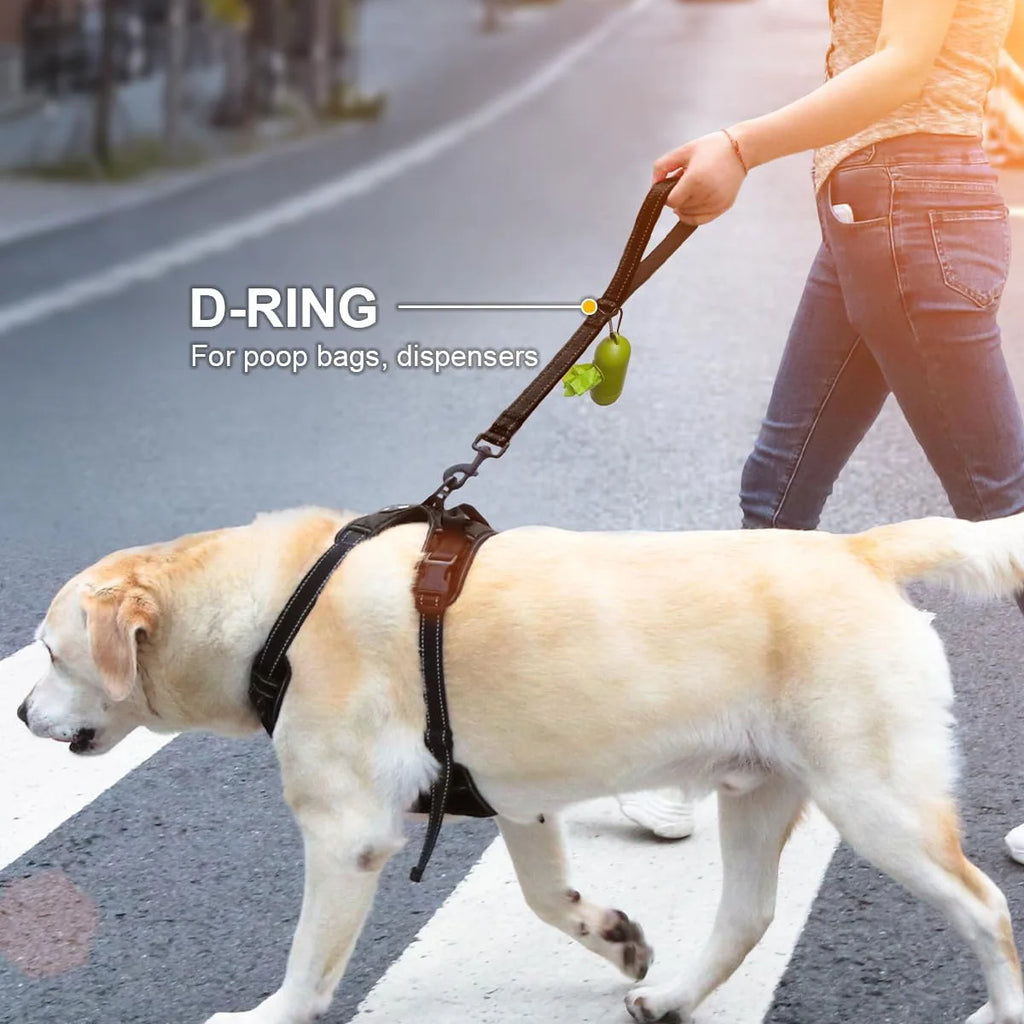 Taglory Short Dog Leash with Traffic Padded Handle | Heavy Duty Nylon Lead for Training & Control | Reflective Threads Pet Leash