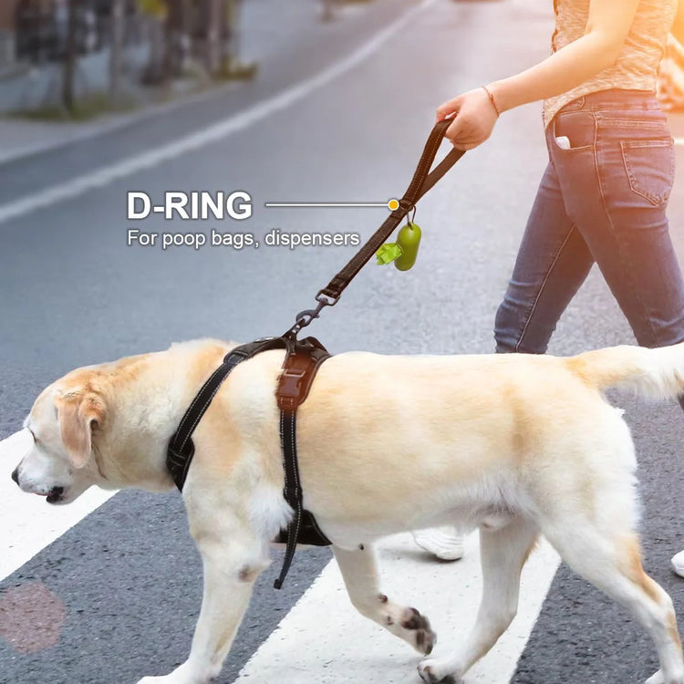 Taglory Short Dog Leash with Traffic Padded Handle | Heavy Duty Nylon Lead for Training & Control | Reflective Threads Pet Leash