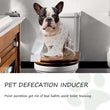 Pet Toilet Training Spray  30ml | Dog /Cat Potty Trainer | Natural Extract Formula