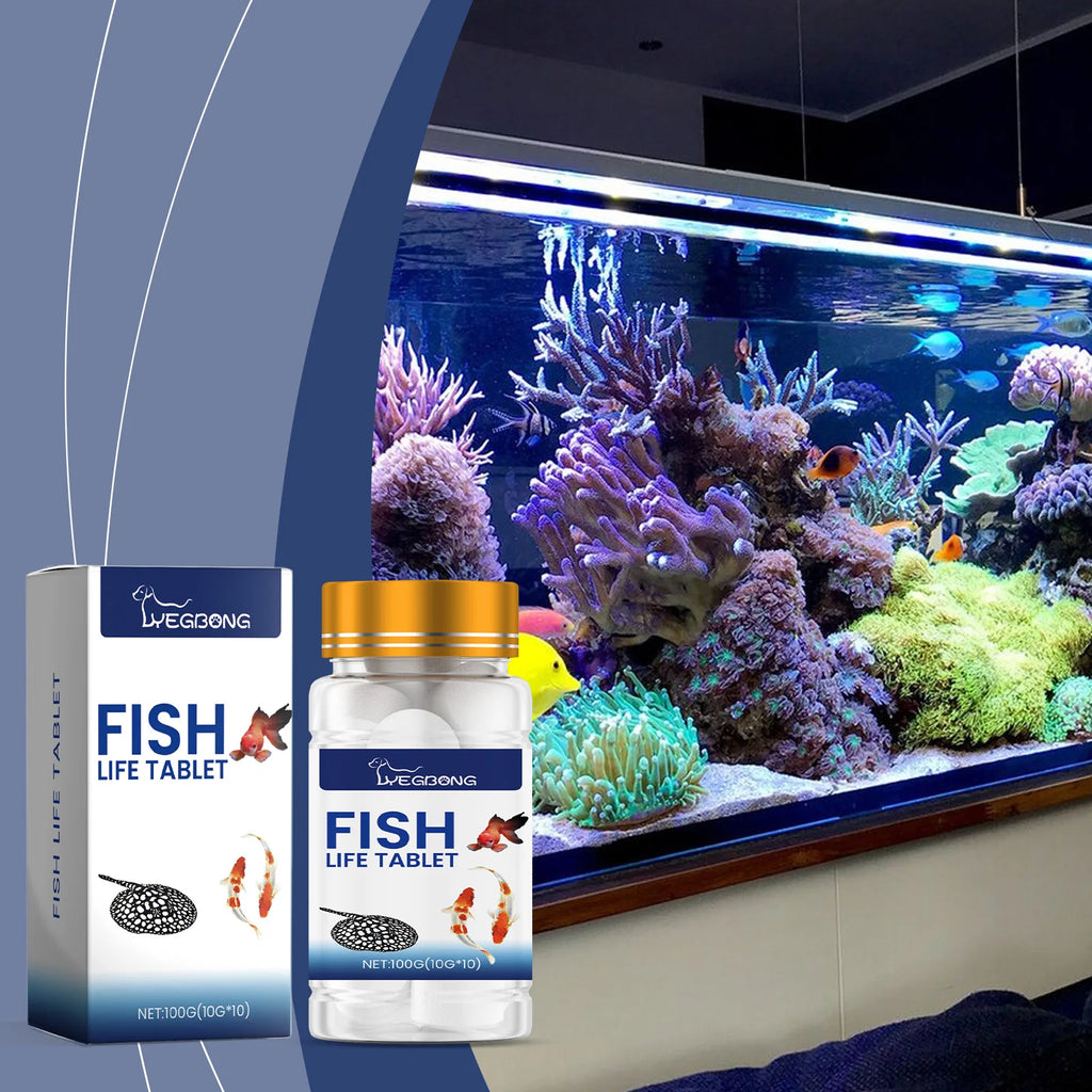 YEGBONG Algaecide 100ml – Rapid Water Purifier & Algae Inhibitor for Fish Tanks and Ponds