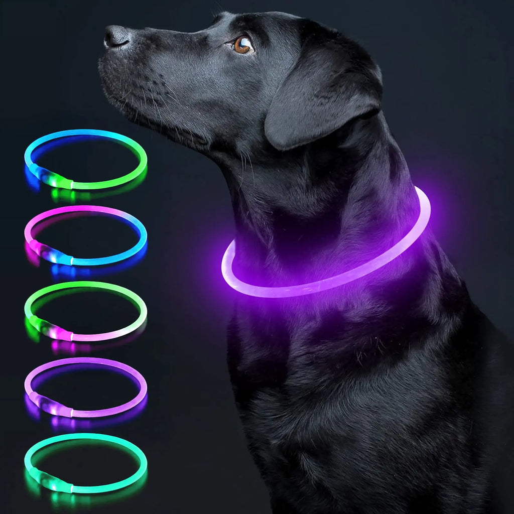 LED Luminous Dog Collar Light Rechargeable Flashing Safety Collar for Nighttime Walking