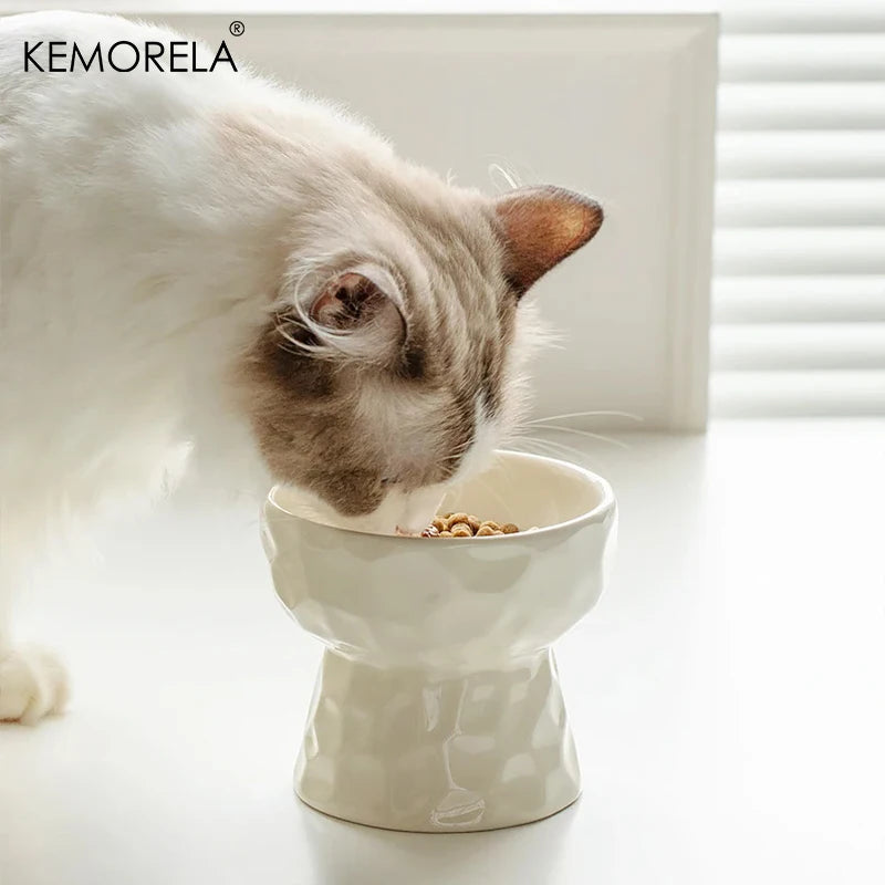 Cat Ceramic Bowl | Gradient Pet Food & Water Feeders | Small Dogs Drinking & Eating Supplies | Raised Tilted Cats & Puppy Feeding Supplies