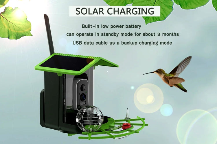 Bird Feeder Camera | 4MP 2K HD Bird Video Capture | Solar Powered WiFi Camera Feeder | Smart Birdwatching Device with Alerts | Outdoor Bird Observation Tool