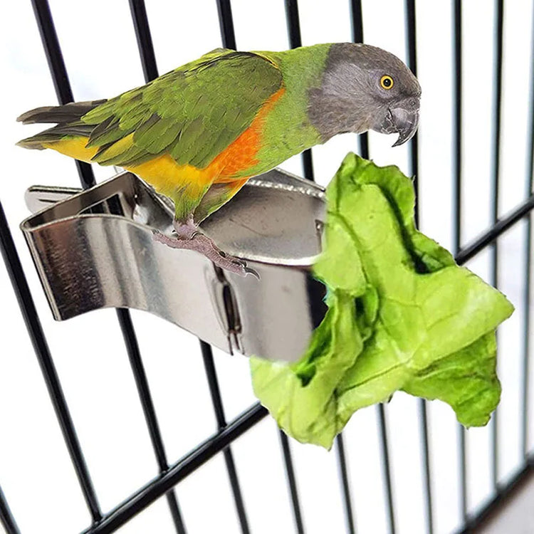 1/6/12pcs Bird Food Holder | Parrot Feeding Clip | Fruit Vegetable Clamp | Cuttlefish Bone Feeder | Cage Mount Tool for Pet Birds