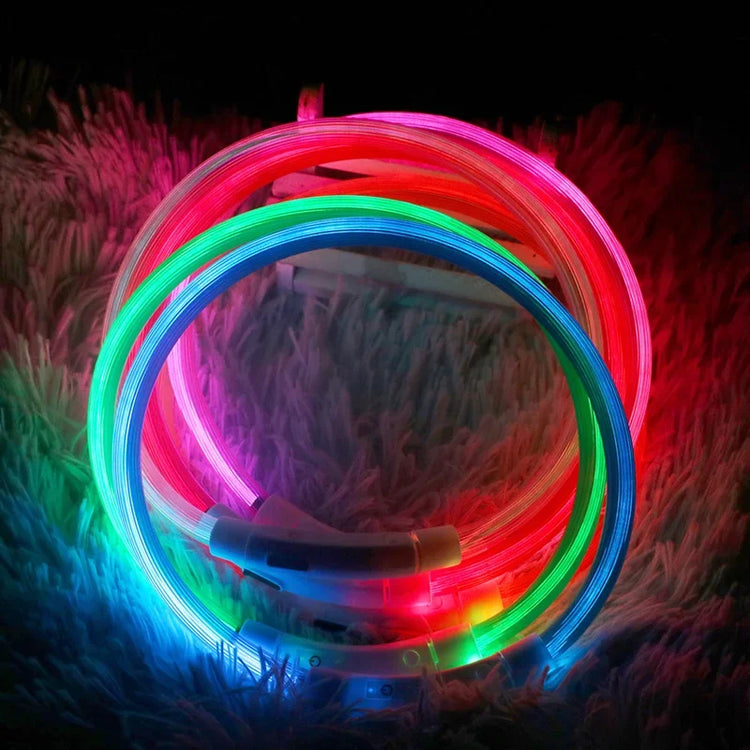 USB Rechargeable LED Luminous Dog Collar – Safety Glowing Night Collar with 3 Light Modes