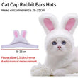 Cute Lion Mane Wig Hat for Cats/Small Dogs | Funny Pet Costume For Halloween, Christmas & Parties